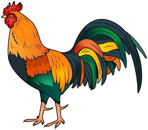 pictures of a cockerel|clip art cockerel.